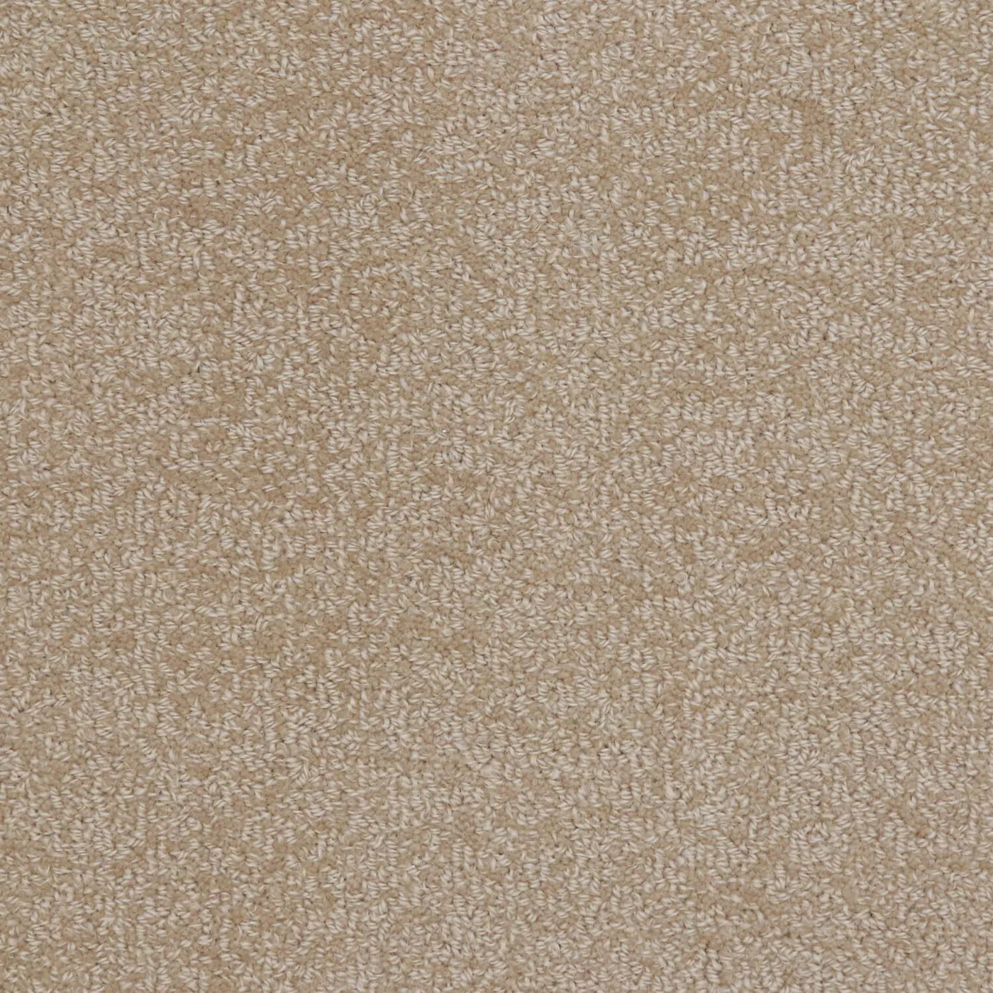 Woolshire Sand