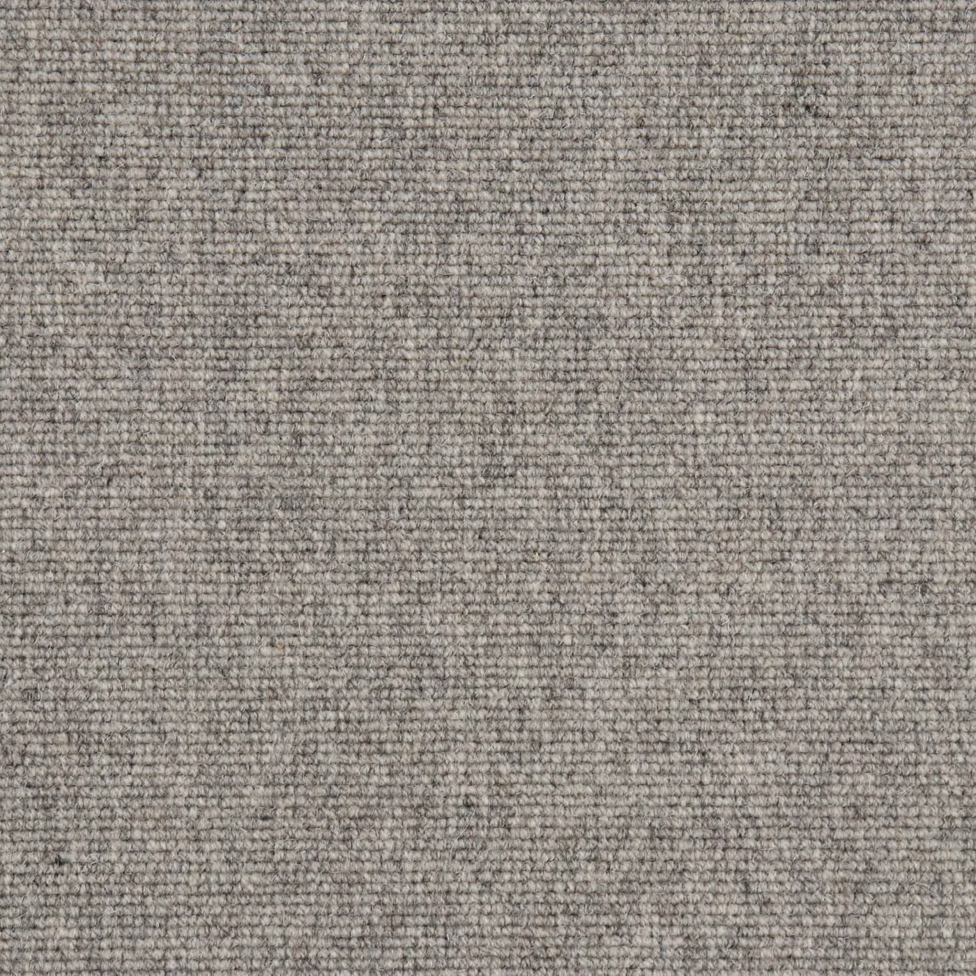 Vanogon Grey Shale