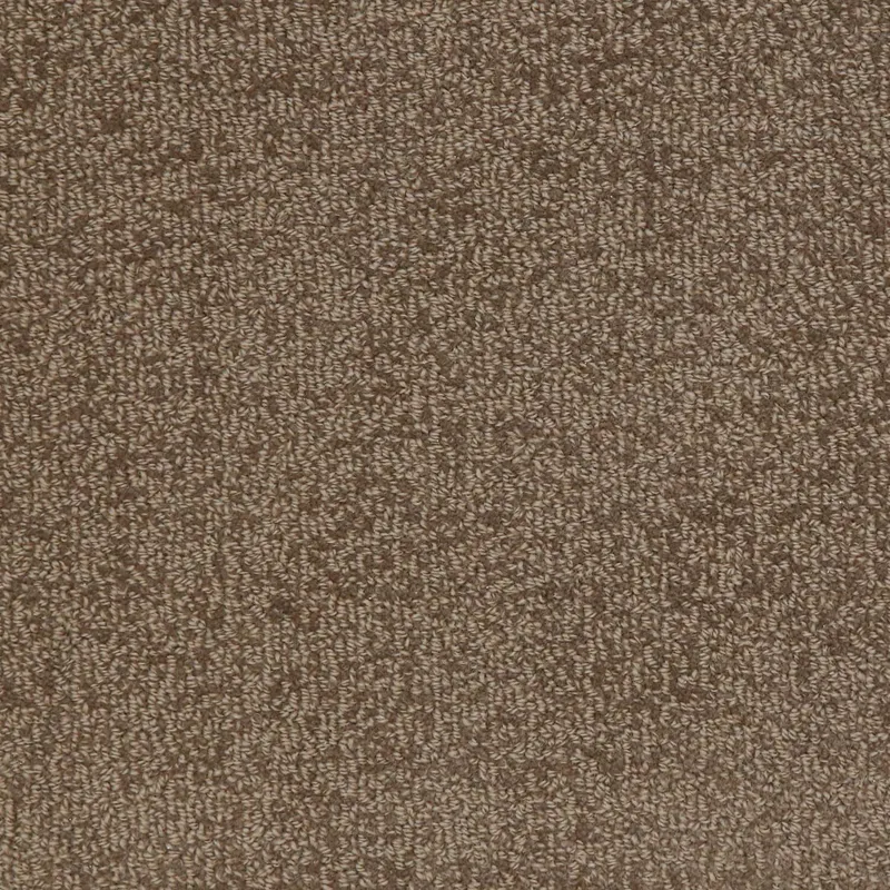 Woolshire Cocoa