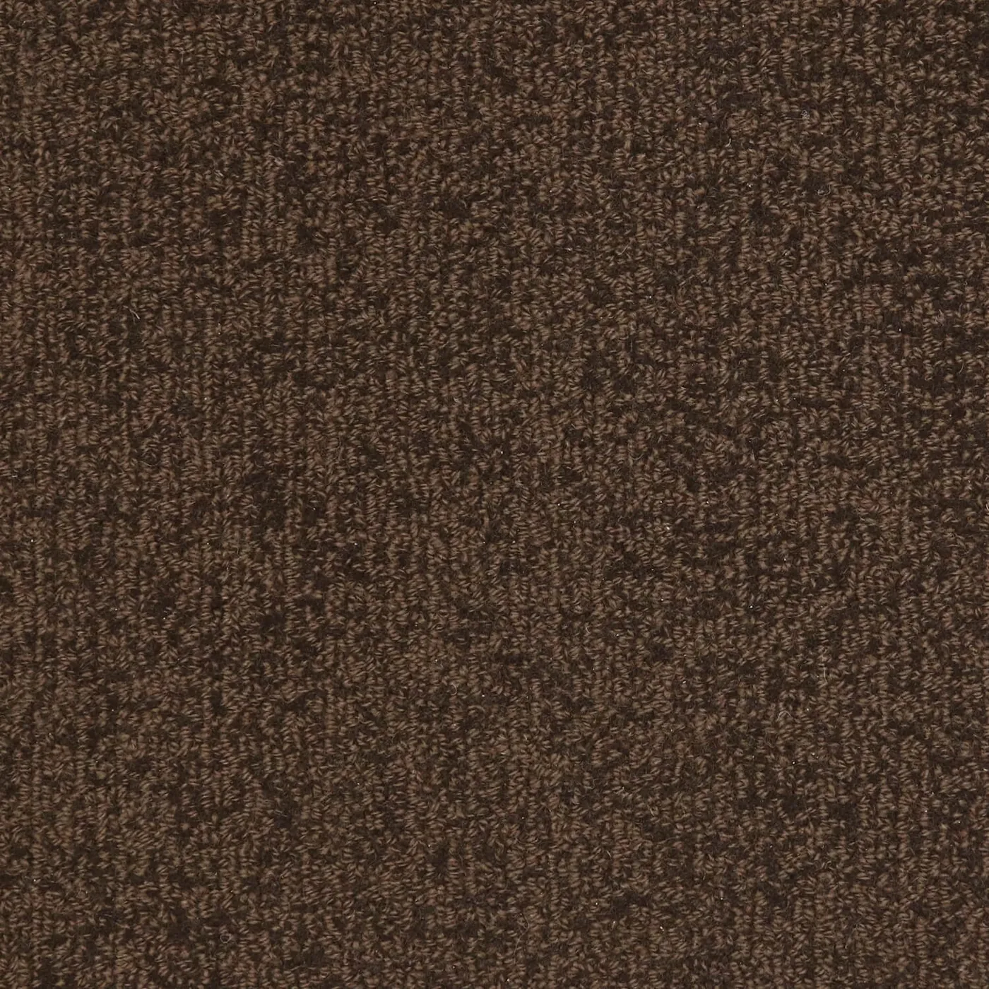 Woolshire Chocolate