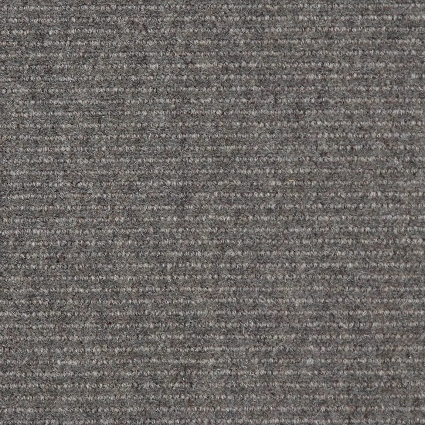 Rare Waters Dapple Grey
