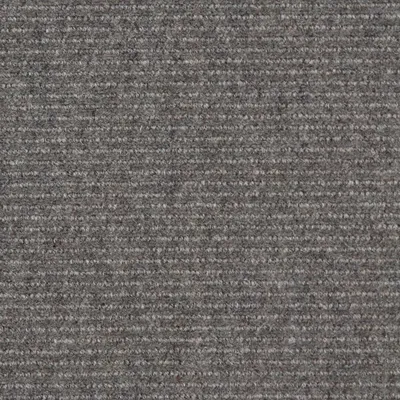 Dapple Grey