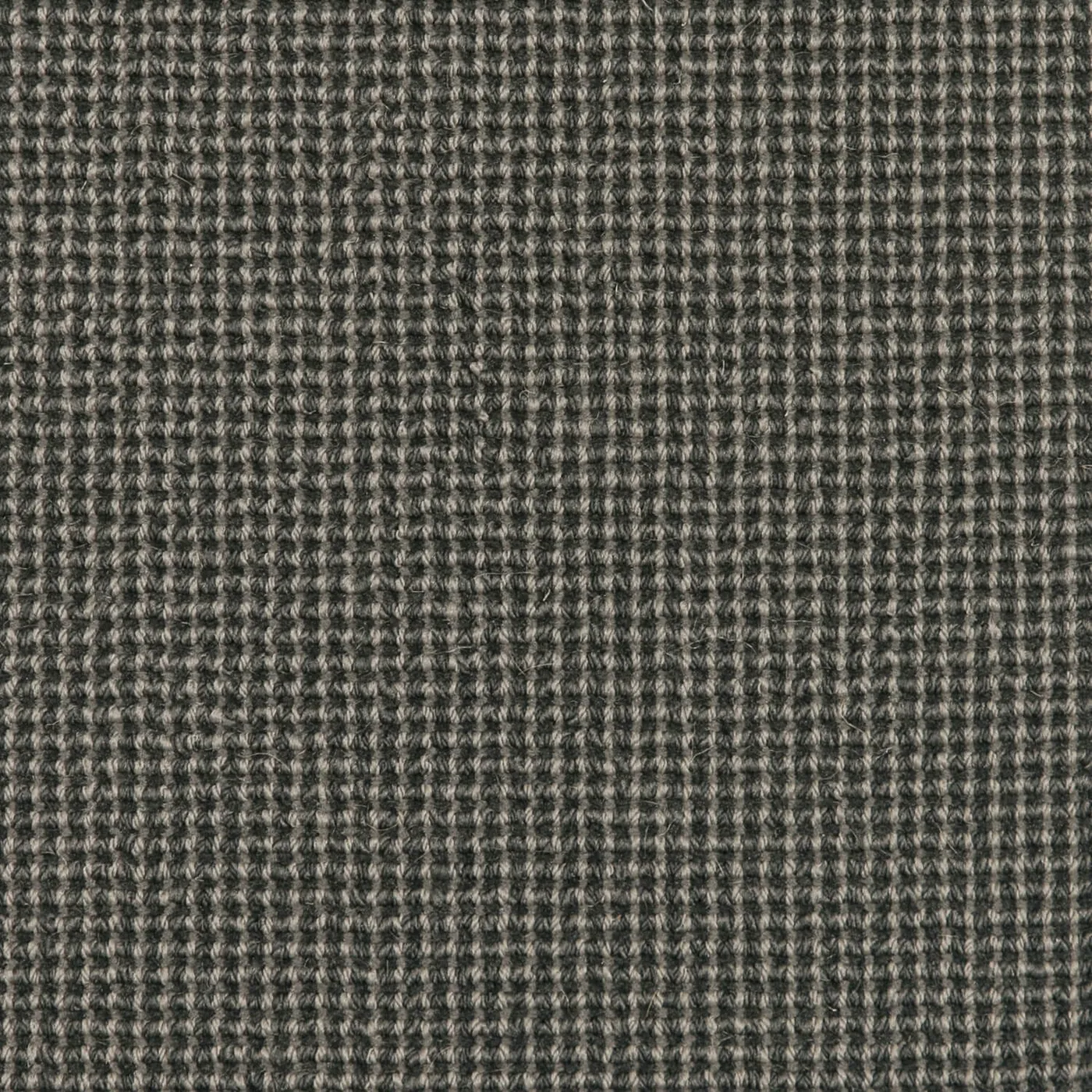 Decorative Sheen Leadtree