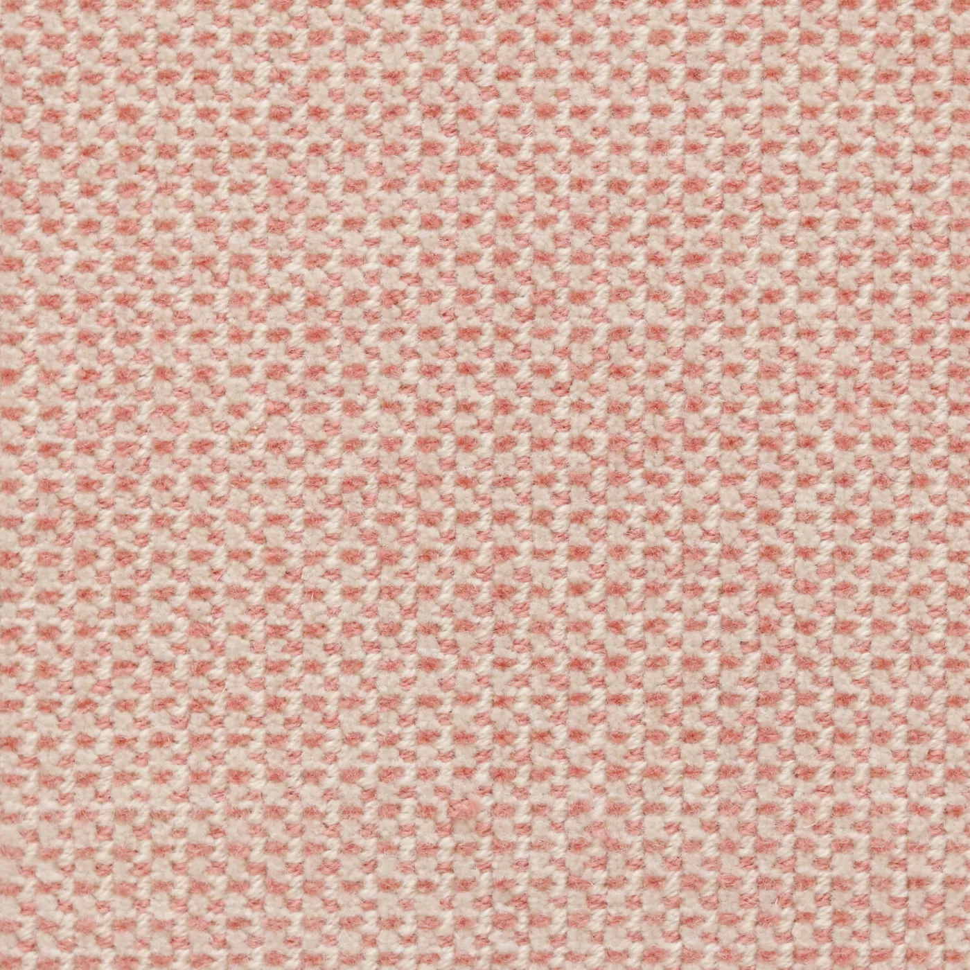 Confectionary Cotton Candy