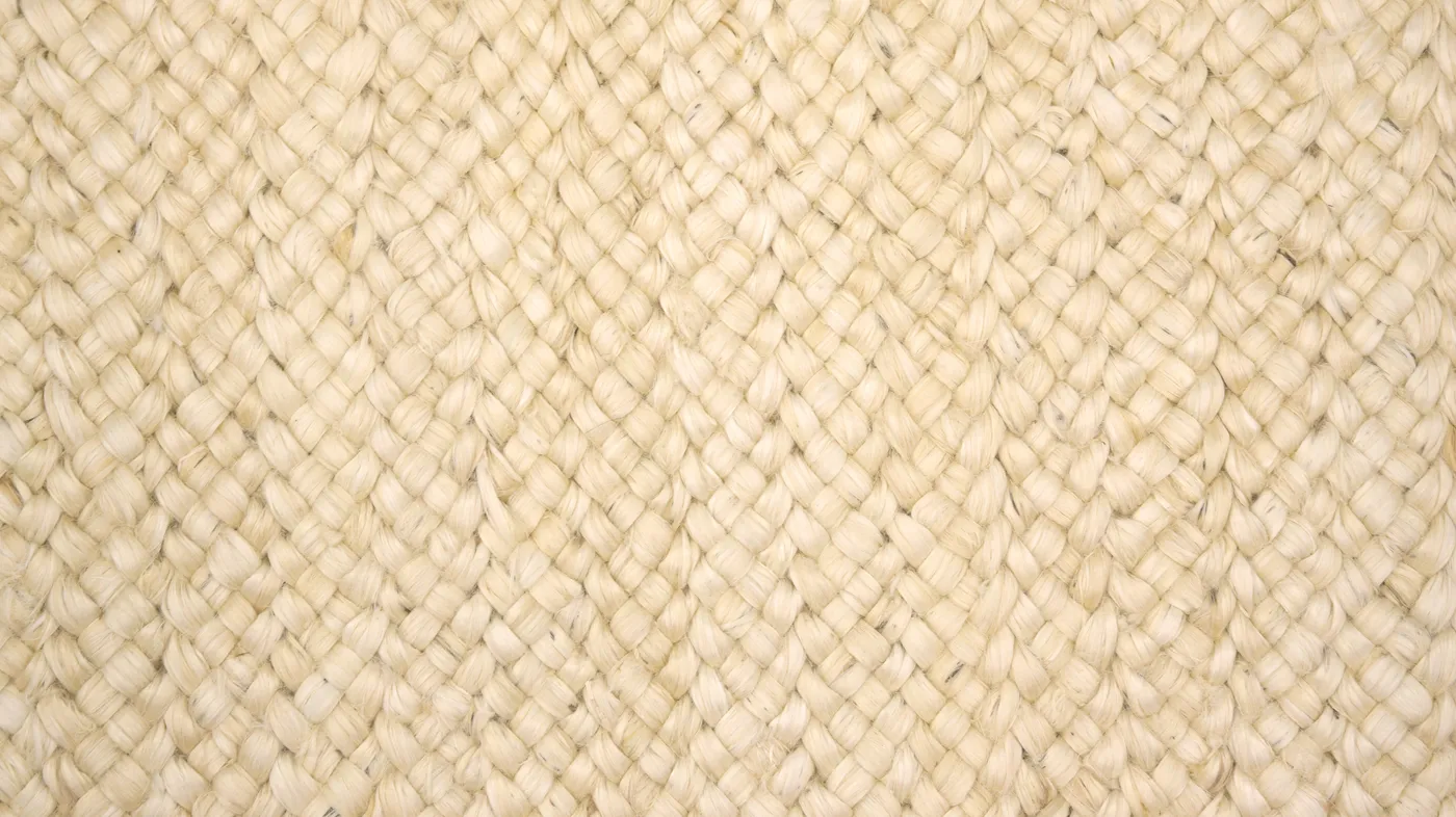 MAXIMUS SESAME