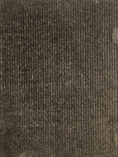 Sahasa