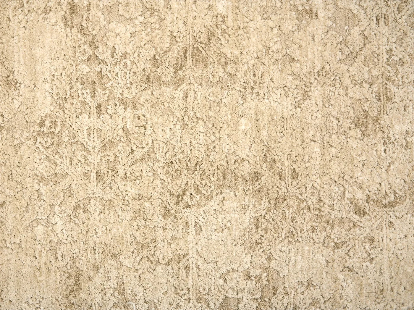 Celine Plaster