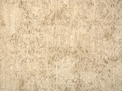 Plaster