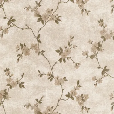 Plaster