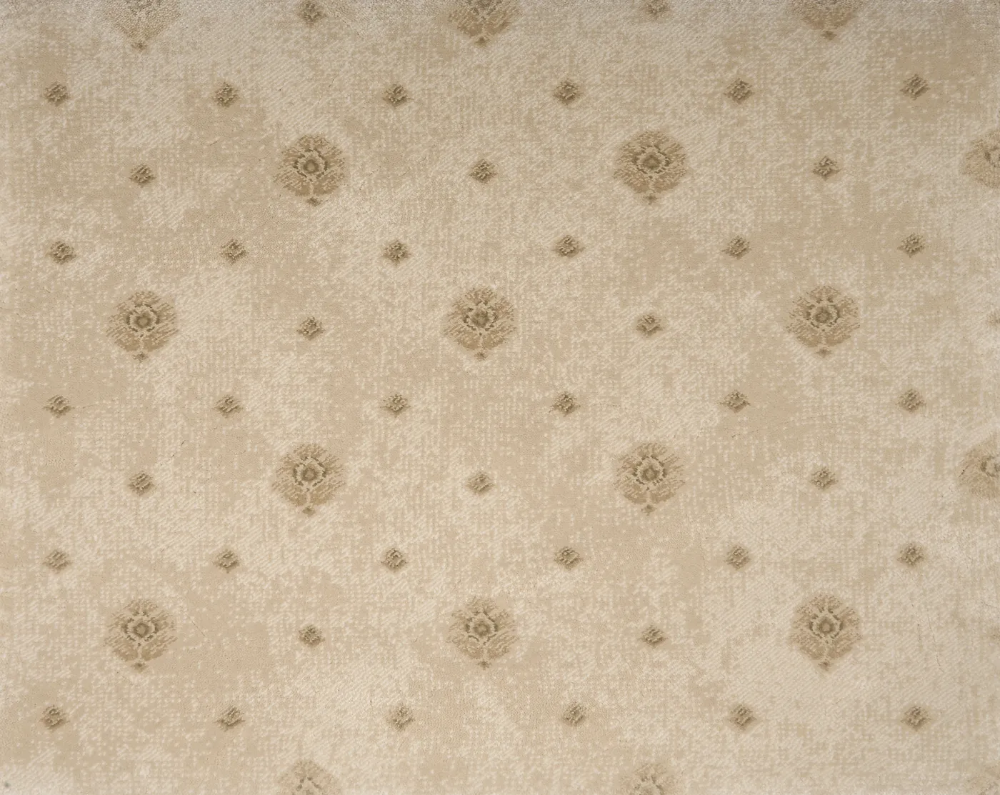 Herald Plaster