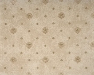 Plaster