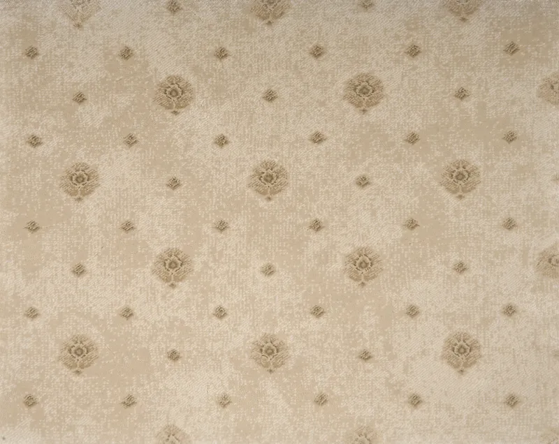 Herald Plaster