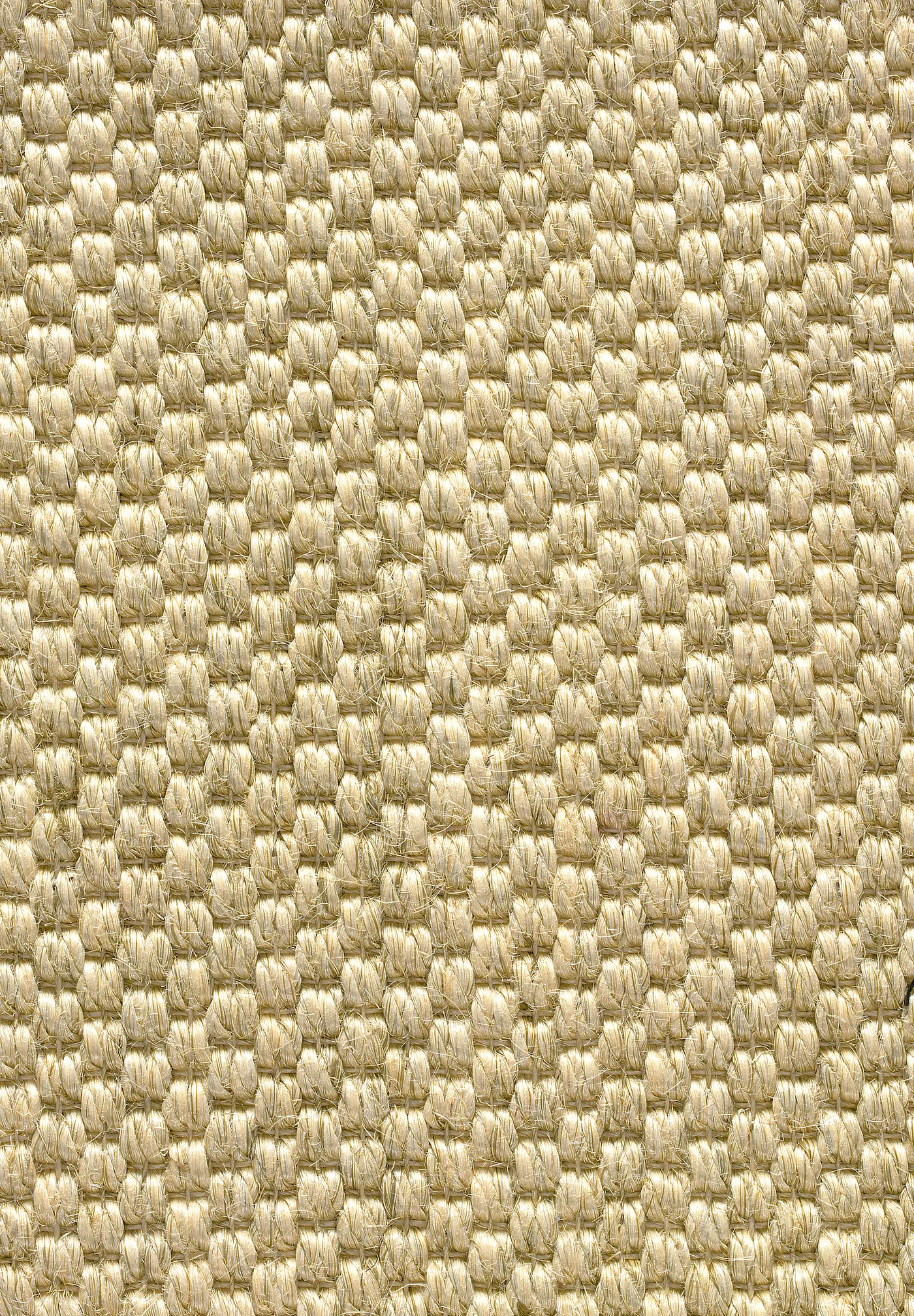 Sahara Flax