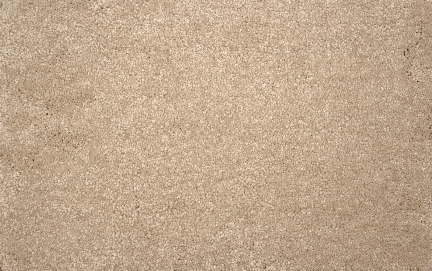 Throne Sand Dollar