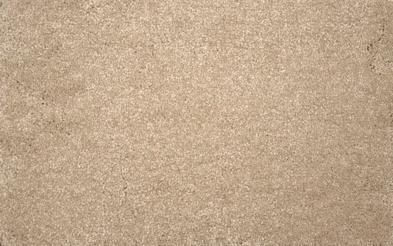 Throne Sand Dollar