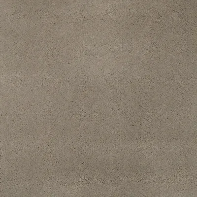 Chinchilla