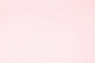 323LF PINK SLIPPERS