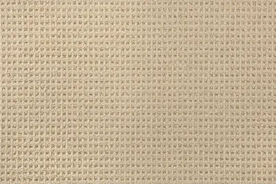 H0603 Flax