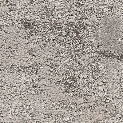 Anchors Way