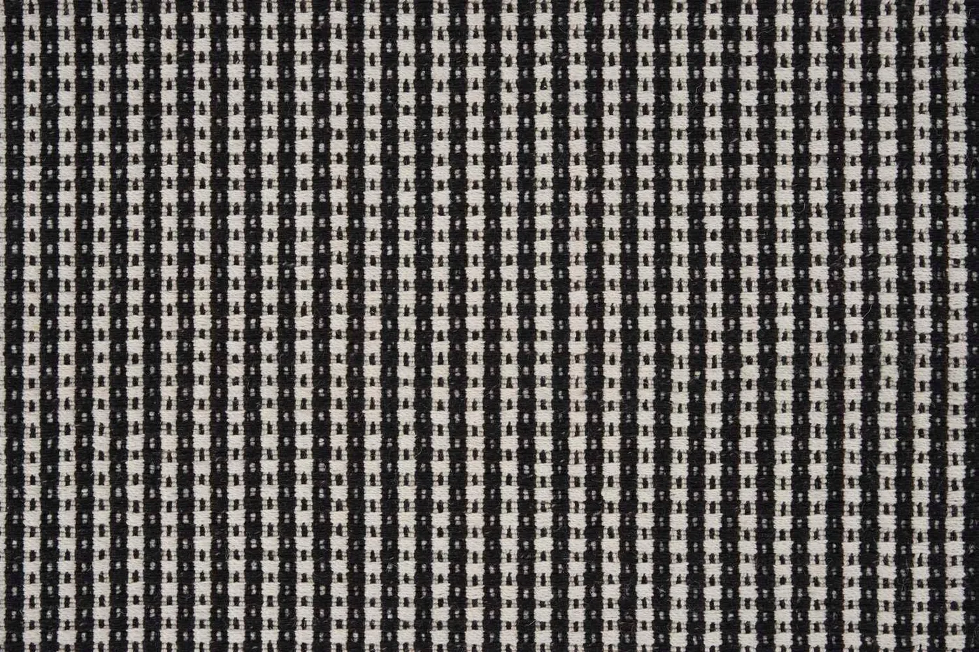 Cross Tracks Dalmation