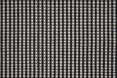 Dalmation
