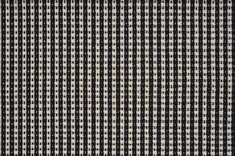 Cross Tracks Dalmation