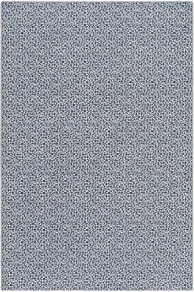 Steel/Dolphin 13
