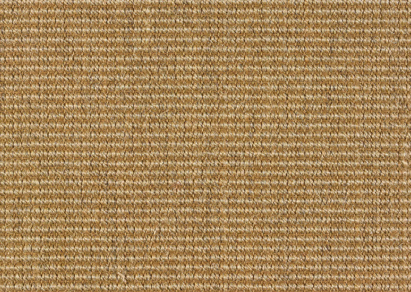 Calabozo Beechwood