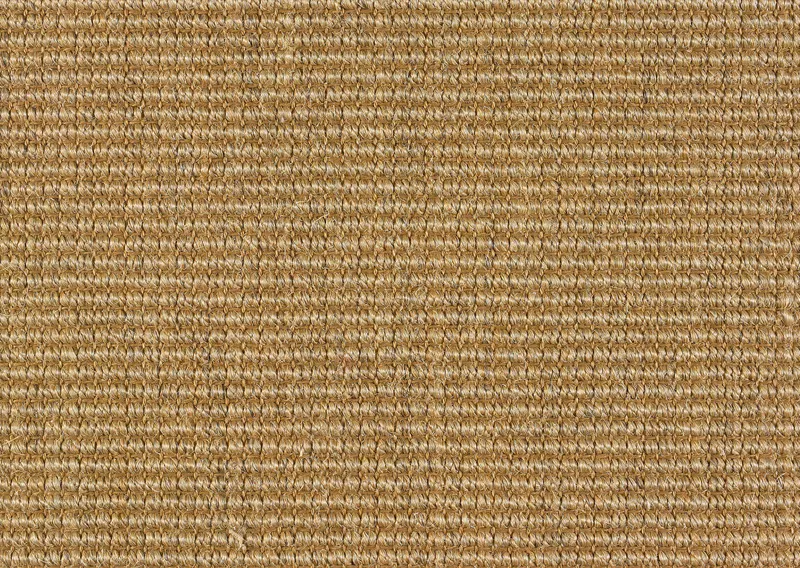 Calabozo Beechwood