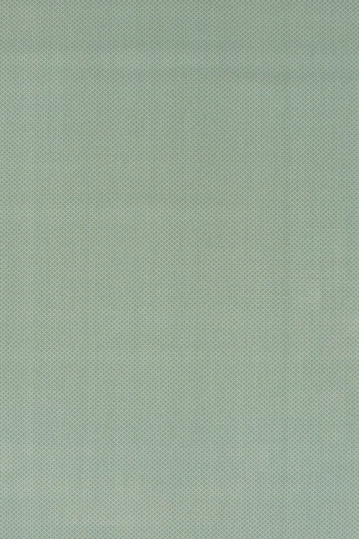 Erica 908 Apple Green