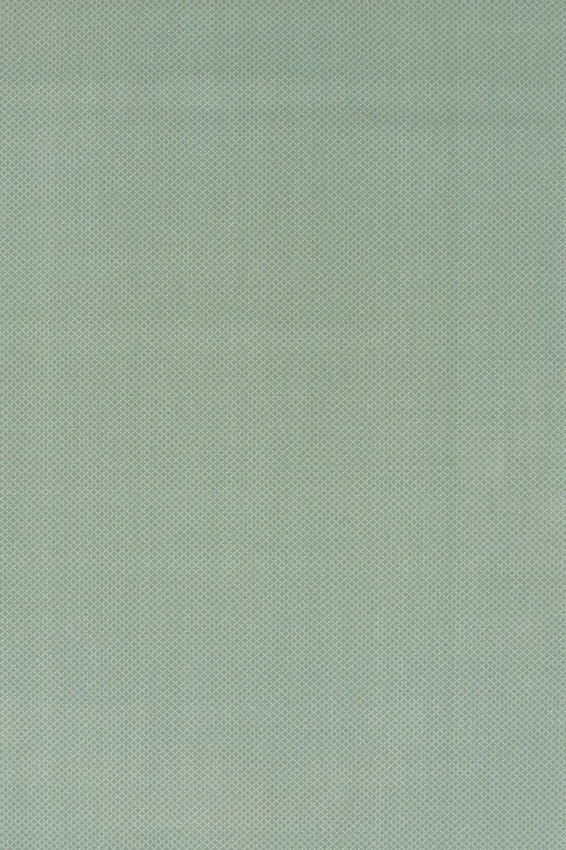 Erica 908 Apple Green