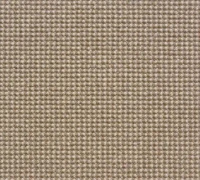 Pebble