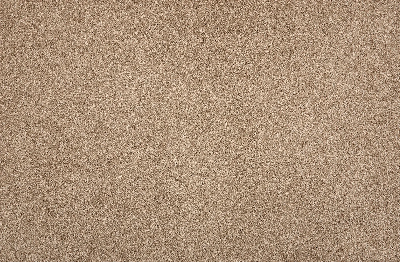Tricorn Cedar