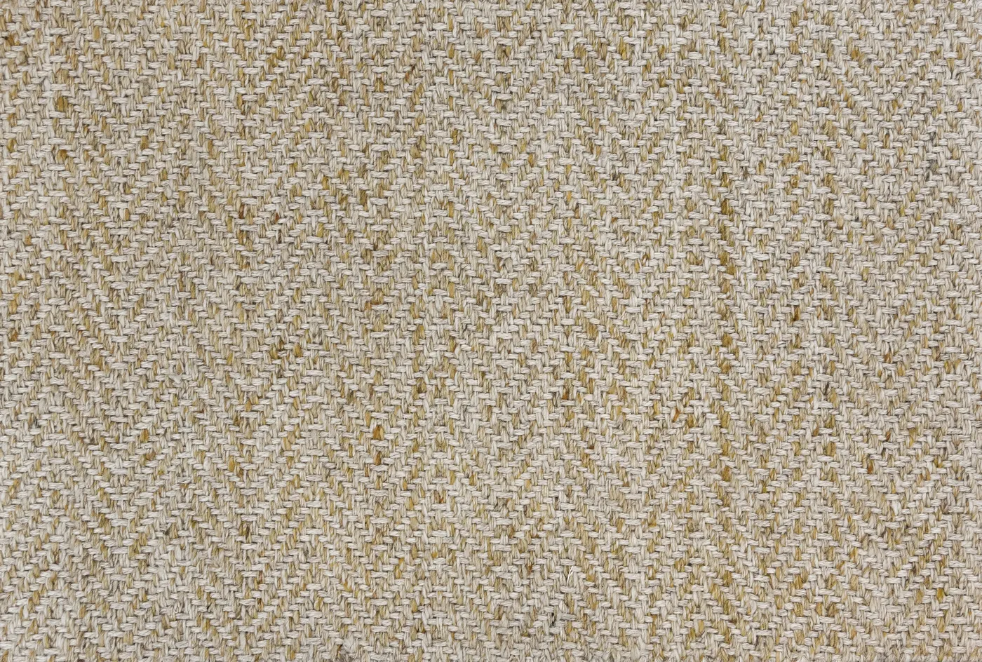 Ahilya Wheat