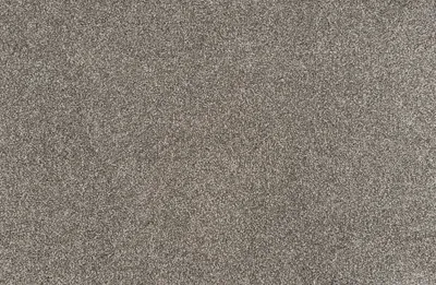 Fossil