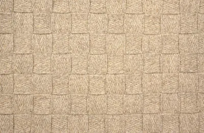 Praire Tan