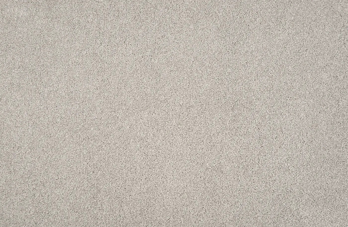 Tricorn Grey Dove