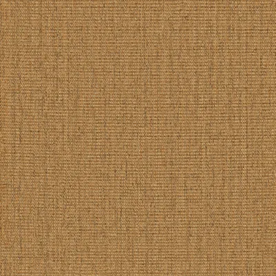 Palomino