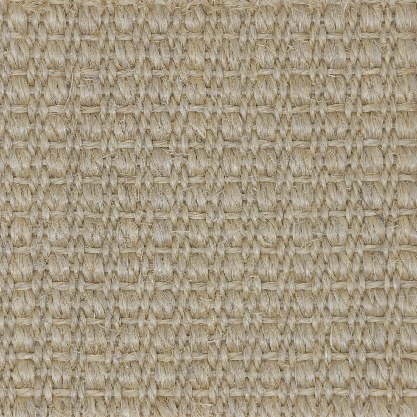 Maya Essential
