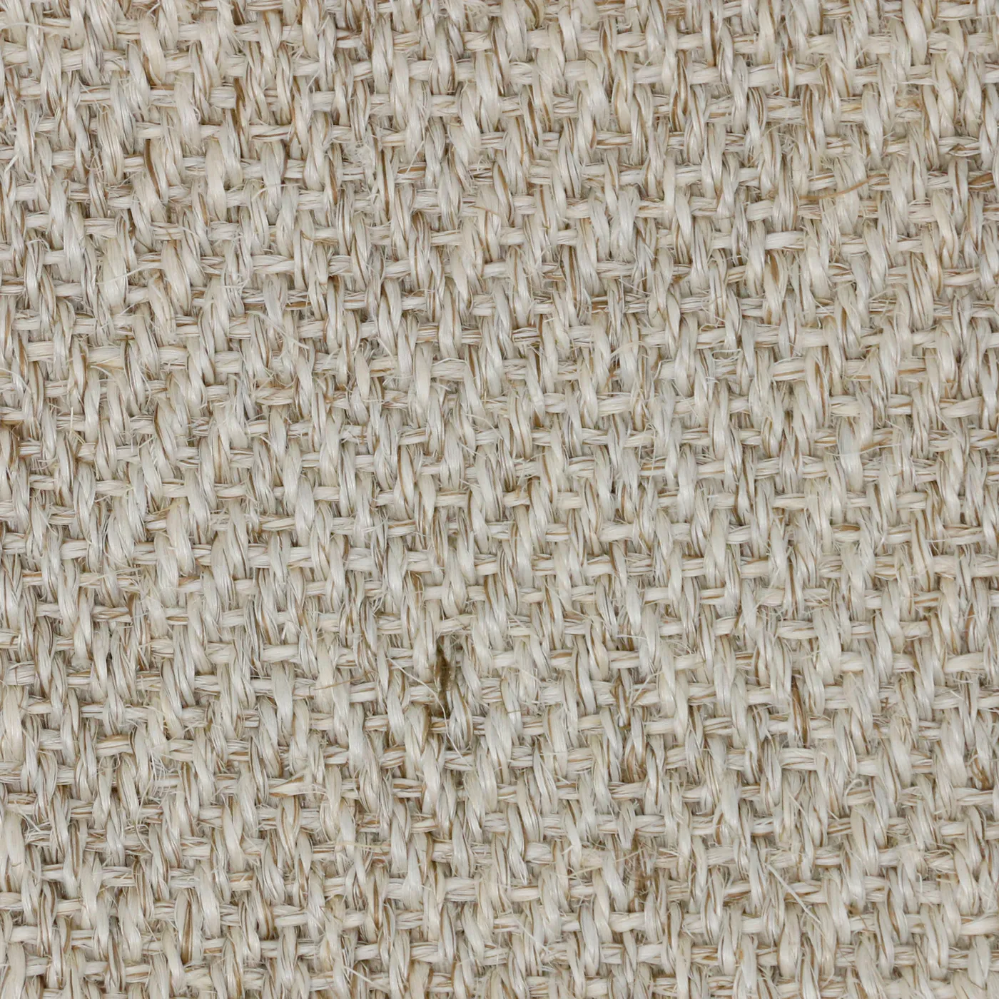 Cartagenia Salt Stone