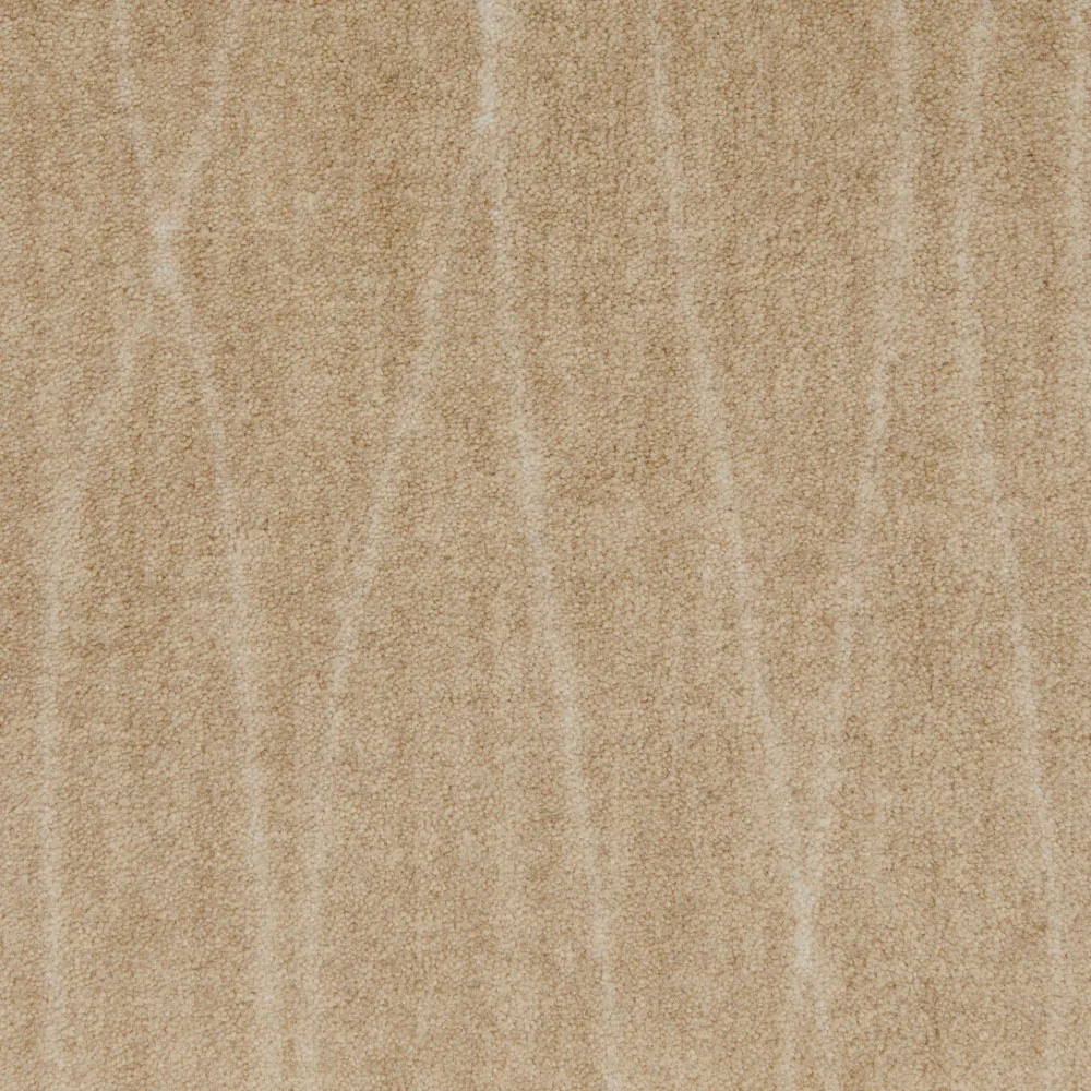Early Questar Pampas