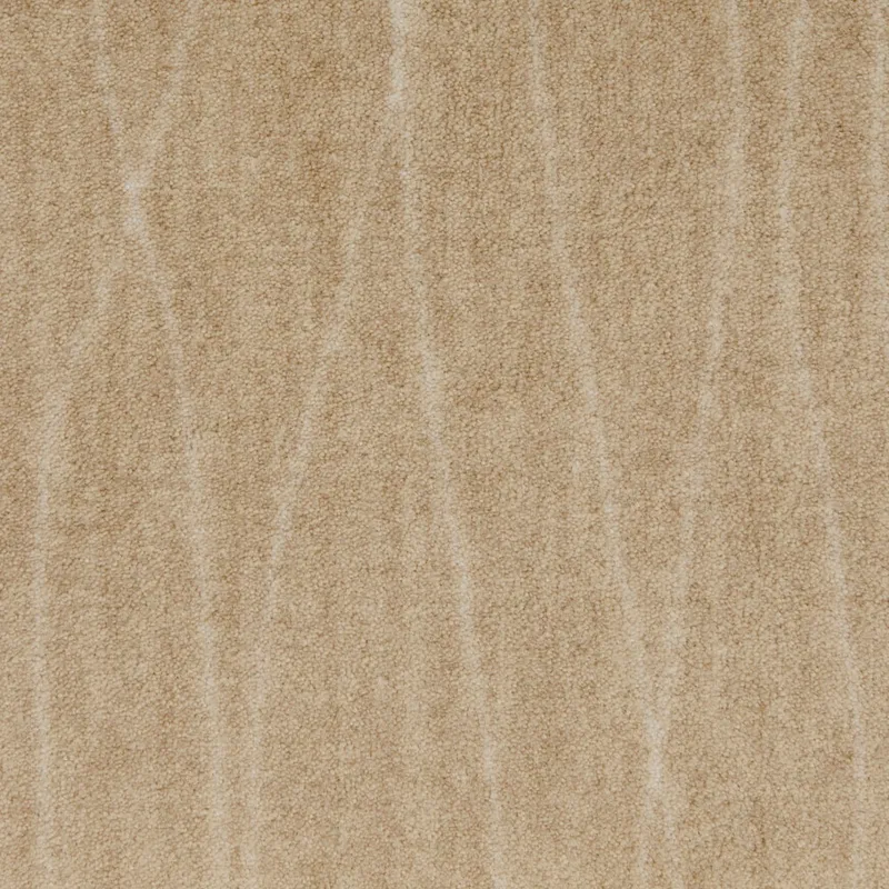 Early Questar Pampas