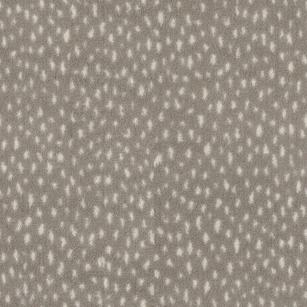 Fleck Flight Dapple Mineral