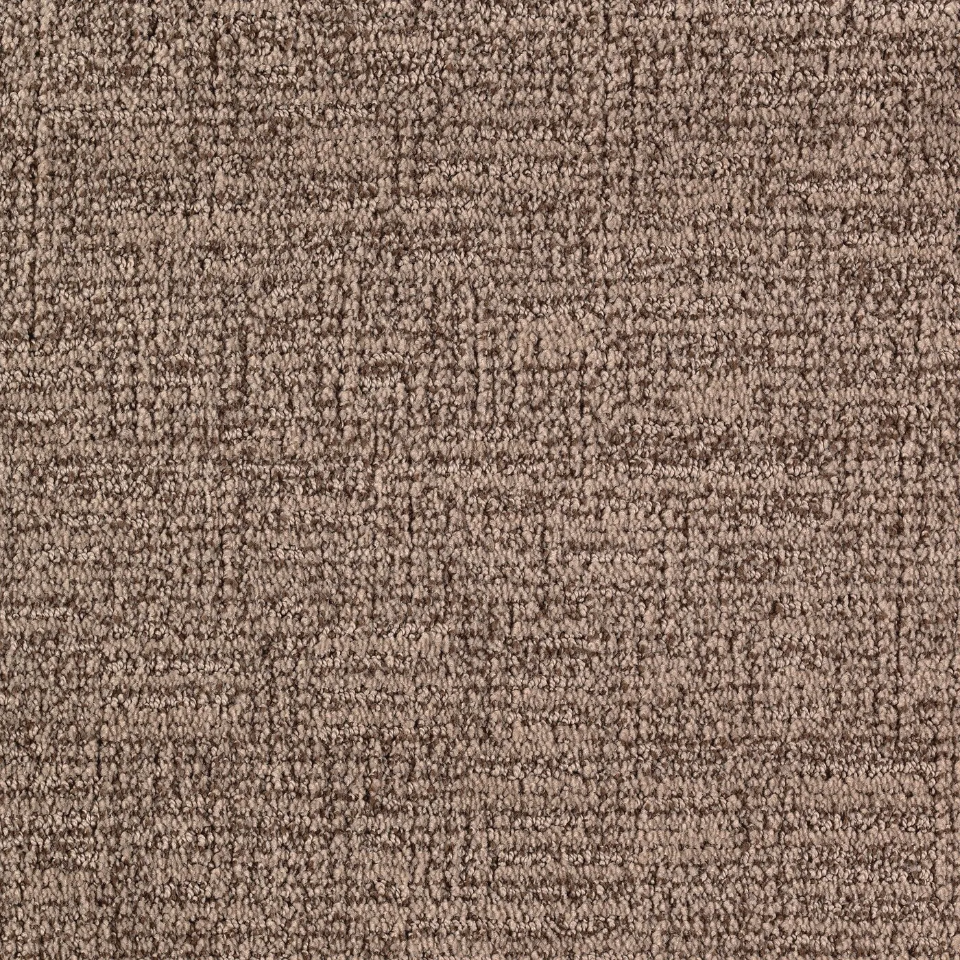 Charmer Dark Taupe
