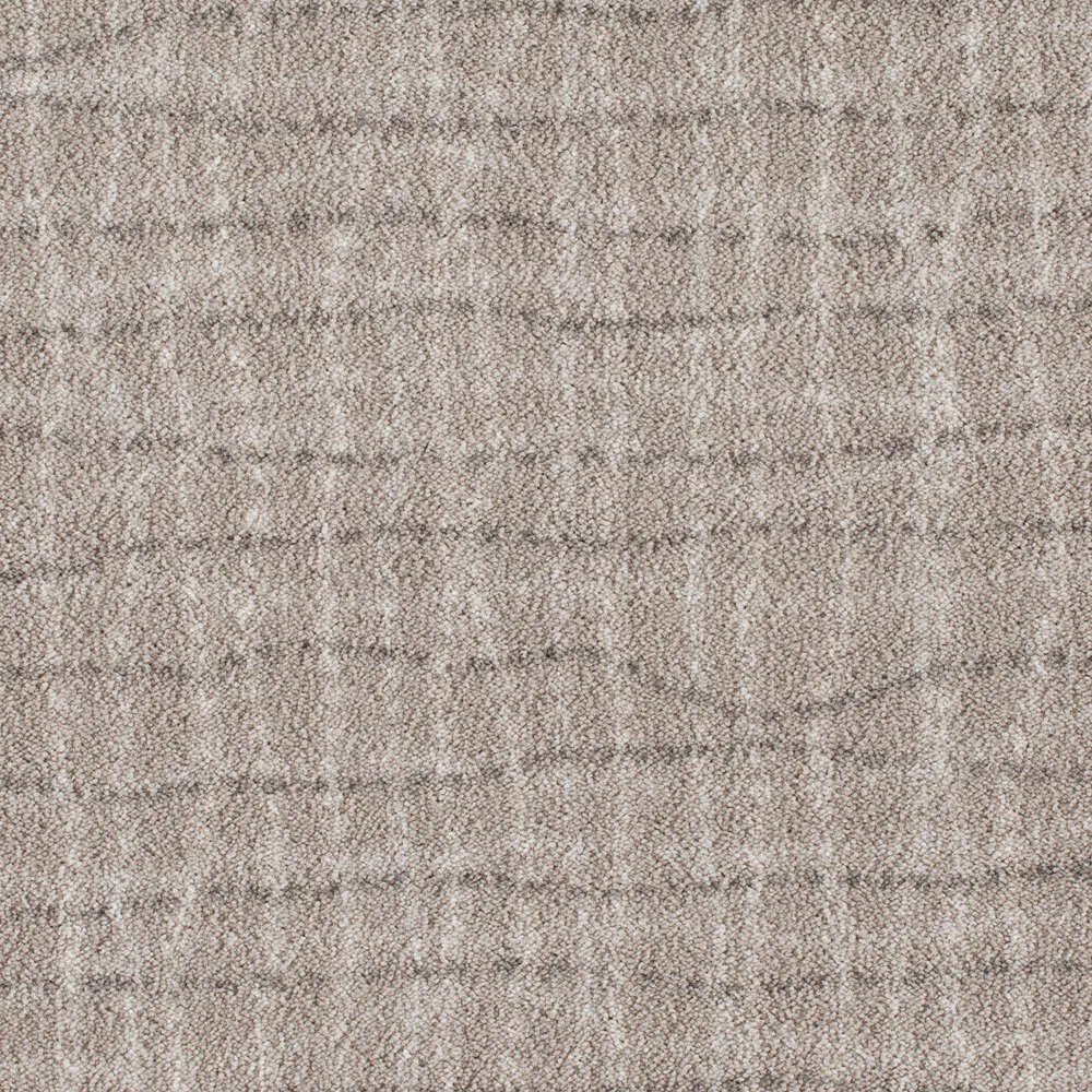 Backdrop Graphite