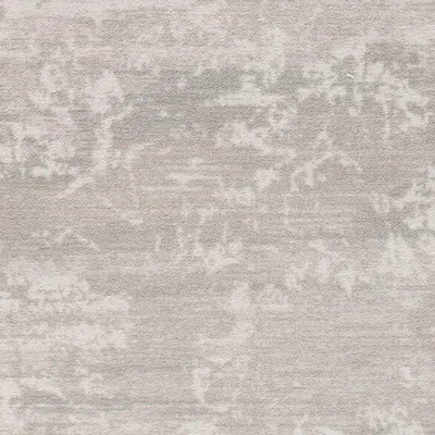 Birch Shadow