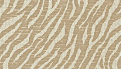 Radiant Zebra
