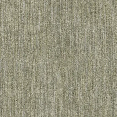 Eucalyptus
