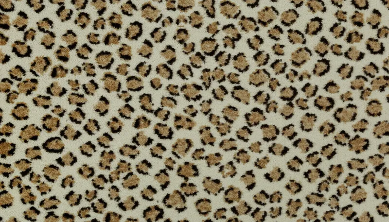 Tropical Cheetah