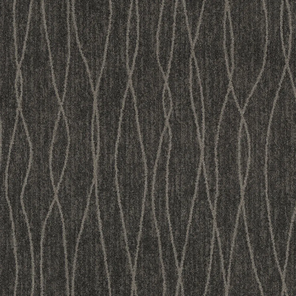 Questar Graphite